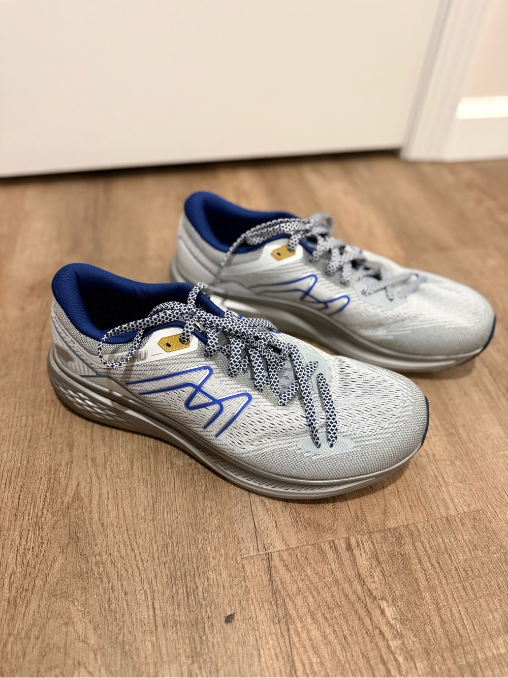 Men’s Karhu Synchron 2.0 Shoes